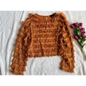 Lumiere Plumage Slong Sleeve Top Sheer Size Small